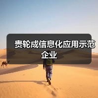 贵轮成信息化应用示范企业（图2）