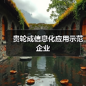 贵轮成信息化应用示范企业（图4）