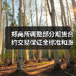 郑商所调整部分期货合约交易保证金标准和涨跌停板幅度 来源：互联网 2025-12-29（图3）