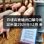 菲律宾食糖进口禁令将延长至2026年12月 来源：互联网 2025-12-22（图4）