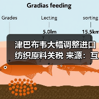 津巴布韦大幅调整进口纺织原料关税 来源：互联网 2025-12-15（图3）