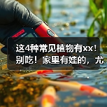 这4种常见植物有xx！别吃！家里有娃的，尤其要注意→ 来源：互联网 2025-08-14（图4）