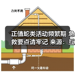 正值蛇类活动频繁期 急救要点请牢记 来源:互联网 2025-08-13(图2) 正值蛇类活动频繁期 急救要点请牢记 来源:互联网 2025-08-13(图2)