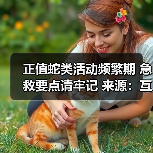 正值蛇类活动频繁期 急救要点请牢记 来源:互联网 2025-08-13(图4) 正值蛇类活动频繁期 急救要点请牢记 来源:互联网 2025-08-13(图4)