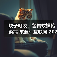 蚊子叮咬，警惕蚊媒传染病 来源：互联网 2025-08-13（图4）