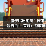 “脑子喝出毛病”原来是真的! 来源:互联网 2025-08-13(图3) “脑子喝出毛病”原来是真的! 来源:互联网 2025-08-13(图3)