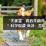 “无菌蛋”真的无菌吗？科学解读 来源：互联网 2025-08-12（图2）