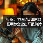 行业：11月7日山东地区甲醇企业出厂报价持稳 来源：互联网 2025-11-07（图2）