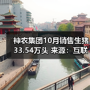 神农集团10月销售生猪33.54万头 来源：互联网 2025-11-07（图1）