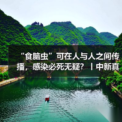“食脑虫”可在人与人之间传播,感染必死无疑?丨中新真探 来源:互联网 2025-08-12(图3) “食脑虫”可在人与人之间传播,感染必死无疑?丨中新真探 来源:互联网 2025-08-12(图3)
