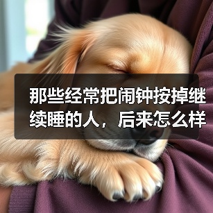 那些经常把闹钟按掉继续睡的人,后来怎么样了? 来源:互联网 2025-08-12(图2) 那些经常把闹钟按掉继续睡的人,后来怎么样了? 来源:互联网 2025-08-12(图2)