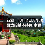 行业：1月12日万华顺酐竞拍基本持稳