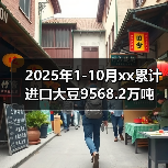 2025年1-10月xx累计进口大豆9568.2万吨