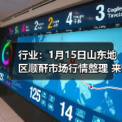 行业：1月15日山东地区顺酐市场行情整理