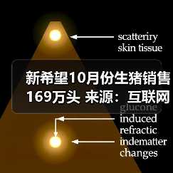 新希望10月份生猪销售169万头 来源:互联网 2025-11-07(图2) 新希望10月份生猪销售169万头 来源:互联网 2025-11-07(图2)