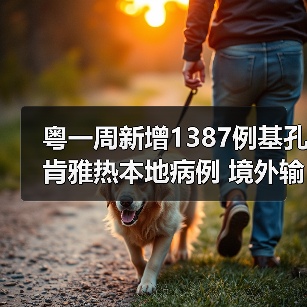 粤一周新增1387例基孔肯雅热本地病例 境外输入风险仍存在