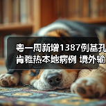 粤一周新增1387例基孔肯雅热本地病例 境外输入风险仍存在 来源：互联网 2025-08-10（图3）