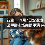 行业：11月7日安徽地区甲醇市场商谈平淡