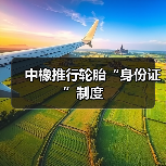 中橡推行轮胎“身份证”制度（图4）