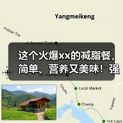这个火爆xx的减脂餐，简单、营养又美味！强烈推荐你试试