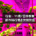 行业:11月7日华东苯酐市场行情走势弱势盘整 来源:互联网 2025-11-07(图4) 行业:11月7日华东苯酐市场行情走势弱势盘整 来源:互联网 2025-11-07(图4)