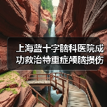 上海蓝十字脑科医院成功救治特重症颅脑损伤患者