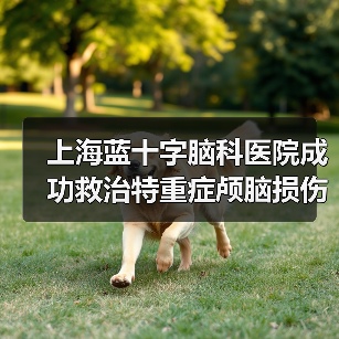 上海蓝十字脑科医院成功救治特重症颅脑损伤患者 来源:互联网 2025-08-08(图2) 上海蓝十字脑科医院成功救治特重症颅脑损伤患者 来源:互联网 2025-08-08(图2)