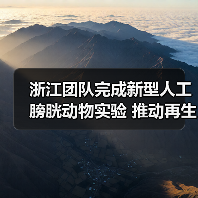 浙江团队完成新型人工膀胱动物实验 推动再生医学新发展 来源:互联网 2025-08-08(图2) 浙江团队完成新型人工膀胱动物实验 推动再生医学新发展 来源:互联网 2025-08-08(图2)