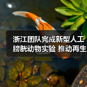 浙江团队完成新型人工膀胱动物实验 推动再生医学新发展 来源:互联网 2025-08-08(图3) 浙江团队完成新型人工膀胱动物实验 推动再生医学新发展 来源:互联网 2025-08-08(图3)