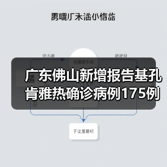 广东佛山新增报告基孔肯雅热确诊病例175例