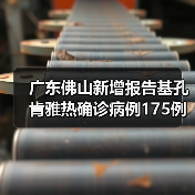 广东佛山新增报告基孔肯雅热确诊病例175例 来源:互联网 2025-08-07(图2) 广东佛山新增报告基孔肯雅热确诊病例175例 来源:互联网 2025-08-07(图2)