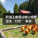 超加工食品可能让减肥效果“打折” 来源:互联网 2025-08-07(图2) 超加工食品可能让减肥效果“打折” 来源:互联网 2025-08-07(图2)
