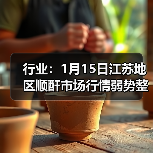行业：1月15日江苏地区顺酐市场行情弱势整理