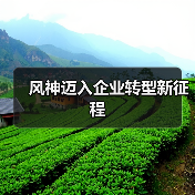 风神迈入企业转型新征程（图1）