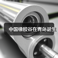 中国橡胶谷在青岛诞生(图4) 中国橡胶谷在青岛诞生(图4)