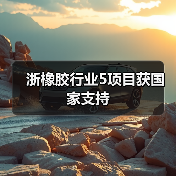 浙橡胶行业5项目获国家支持（图2）