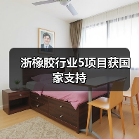 浙橡胶行业5项目获国家支持（图4）