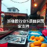 浙橡胶行业5项目获国家支持(图3) 浙橡胶行业5项目获国家支持(图3)