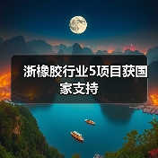 浙橡胶行业5项目获国家支持(图4) 浙橡胶行业5项目获国家支持(图4)