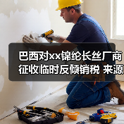 巴西对xx锦纶长丝厂商征收临时反倾销税 来源：互联网 2025-10-29（图2）