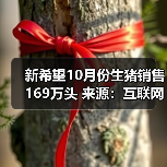 新希望10月份生猪销售169万头 来源:互联网 2025-11-07(图4) 新希望10月份生猪销售169万头 来源:互联网 2025-11-07(图4)