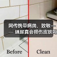 网传携带病菌、致敏—— 蝉尿真会损伤皮肤吗