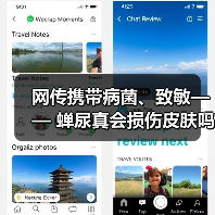 网传携带病菌、致敏—— 蝉尿真会损伤皮肤吗 来源：互联网 2025-08-07（图4）