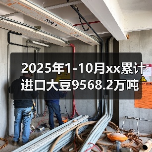 2025年1-10月xx累计进口大豆9568.2万吨 来源:互联网 2025-11-07(图2) 2025年1-10月xx累计进口大豆9568.2万吨 来源:互联网 2025-11-07(图2)