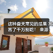 这种夏天常见的瓜果 发苦了千万别吃！ 来源：互联网 2025-08-07（图4）