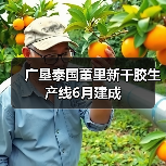 广垦泰国董里新干胶生产线6月建成（图3）