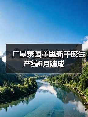 广垦泰国董里新干胶生产线6月建成（图4）