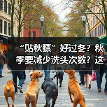 “贴秋膘”好过冬?秋季要减少洗头次数?这些养生误区请 “绕行” 来源:互联网 2025-08-07(图4) “贴秋膘”好过冬?秋季要减少洗头次数?这些养生误区请 “绕行” 来源:互联网 2025-08-07(图4)