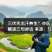 三伏天出汗养生？中医解读三句谚语 来源：互联网 2025-08-07（图3）