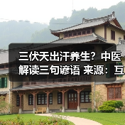 三伏天出汗养生？中医解读三句谚语 来源：互联网 2025-08-07（图4）